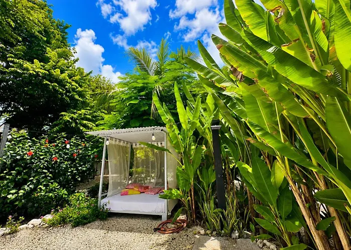 Cabanas Lamaite