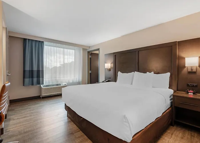 Comfort Inn & Suites Miami International Airport