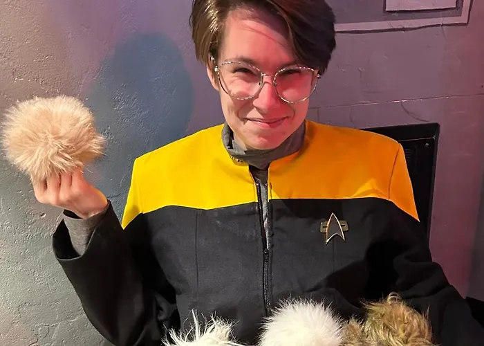 The Star Trek - Uss Enterprise Room At The Itty Bitty Inn