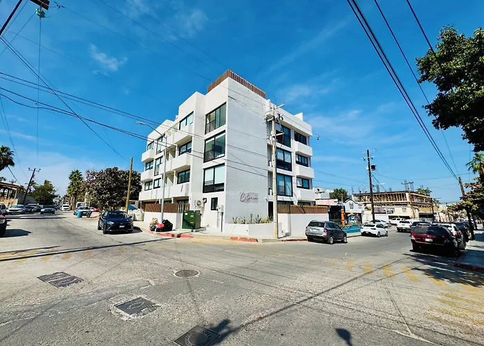 Colmena Hotel Los Cabos Marina