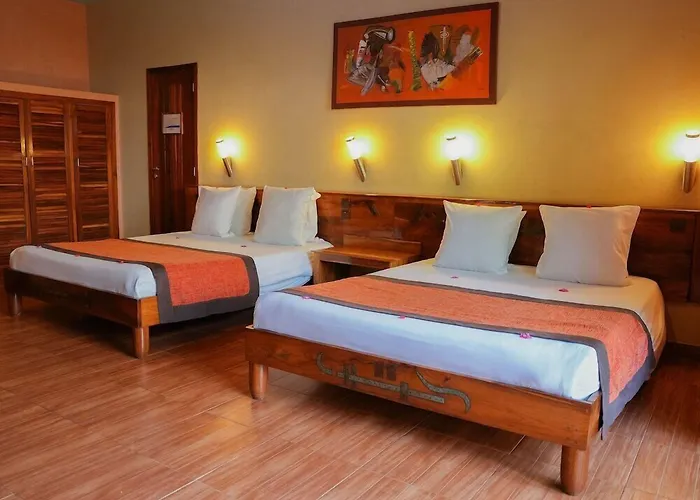Royal Horizon Baobab