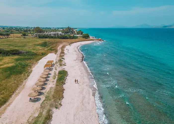 Taf Beach Villas With Tesla