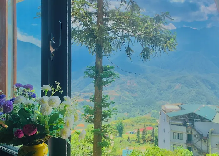 Tiger Sapa Hotel