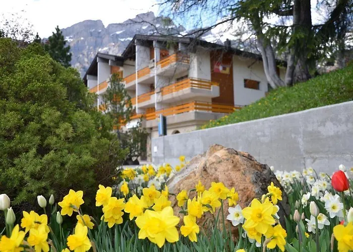 Hotel Alex
