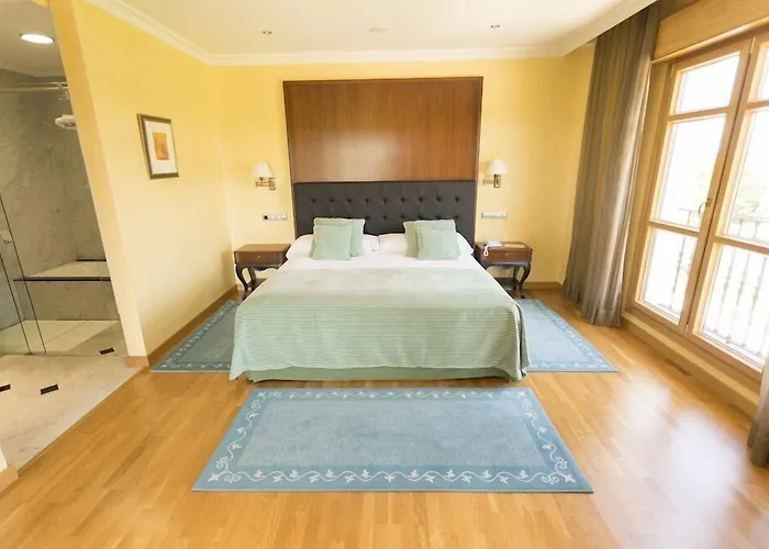 Hotel Torremilanos