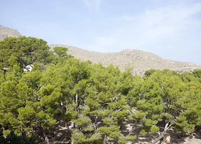 Hotel Cala Sant Vicenc - Adults Only