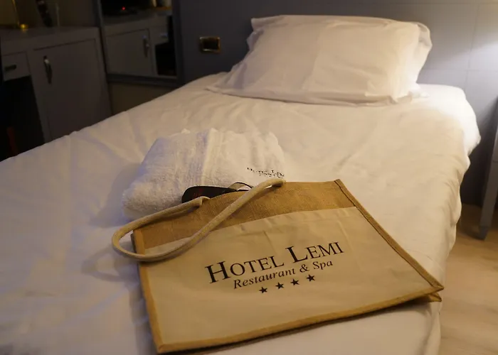 Hotel Lemi