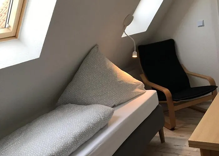 Kleine Möwe