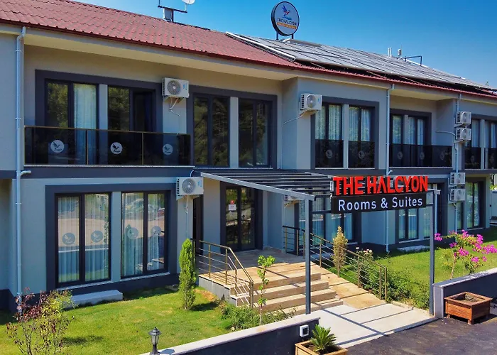 The Halcyon