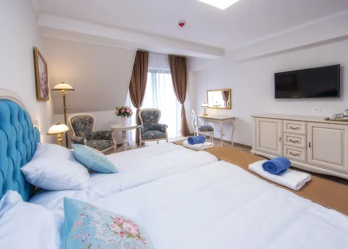 Hotel Paryski Art & Business Zakopane - Basen Jacuzzi Sauna Malpi Gaj