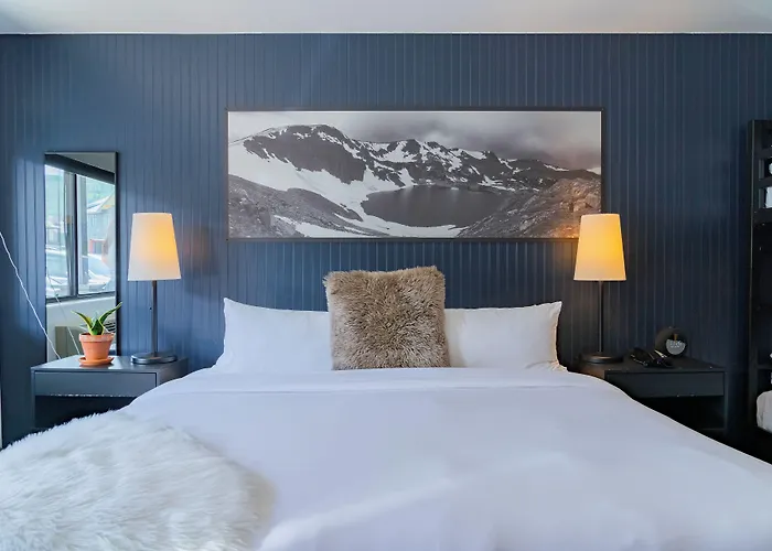 Gravity Haus Winter Park