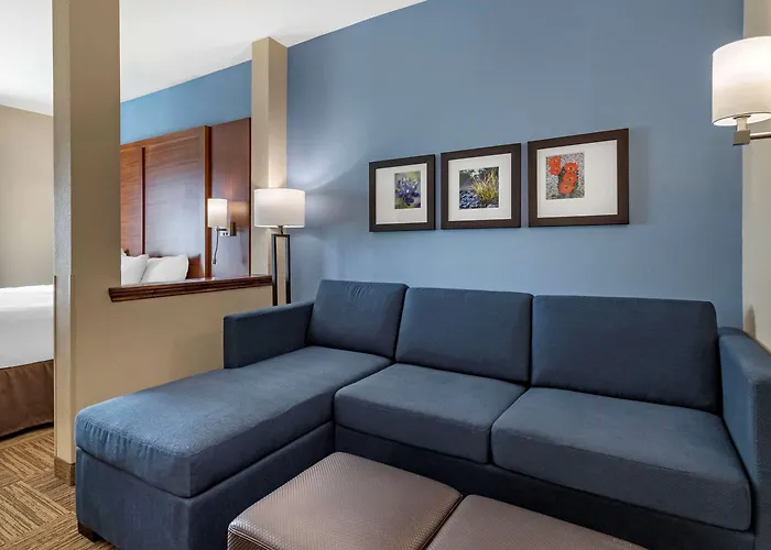 Comfort Suites Cedar Park - Austin Northwest