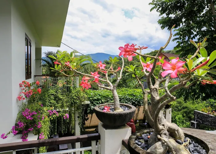 Dewi Villa Padangbai Hotel
