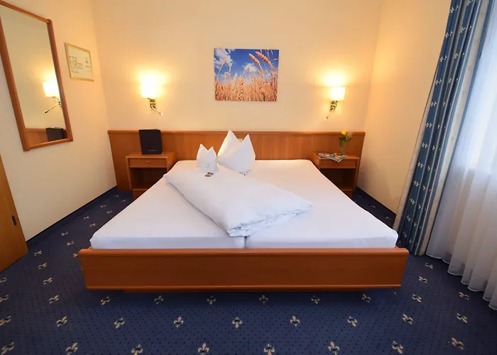 Alte Mühle Hotel&Restaurant