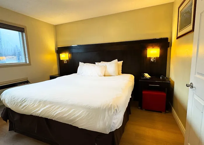 Riviera Inn And Suites 1000 Islands