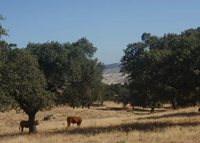 La Dehesa de Don Pedro