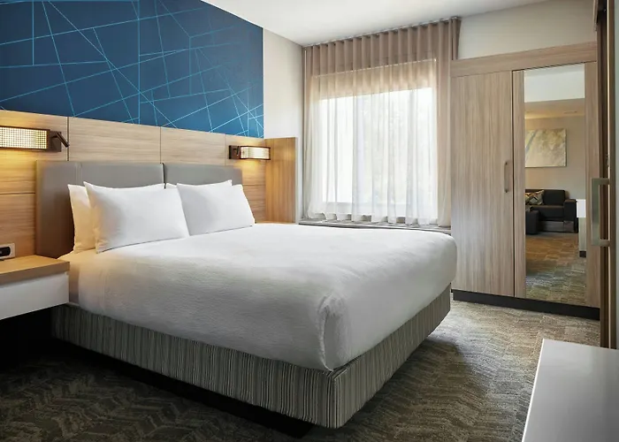 Springhill Suites By Marriott Frederica