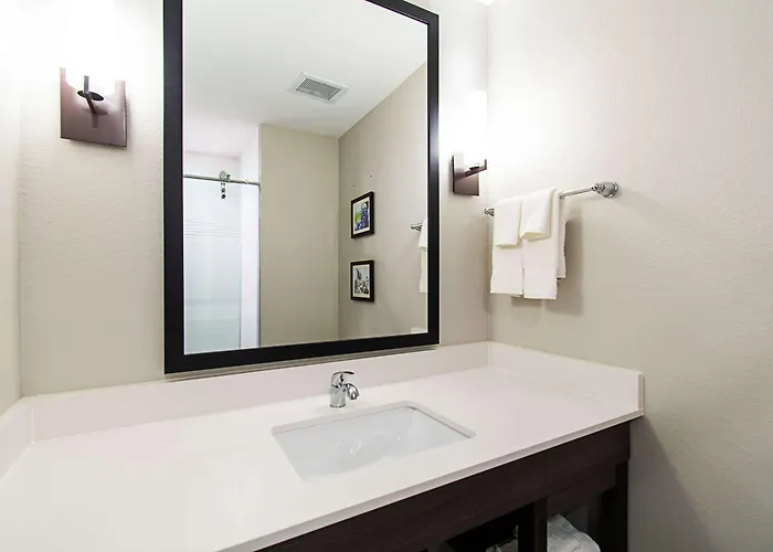 Comfort Suites Humble Houston Iah