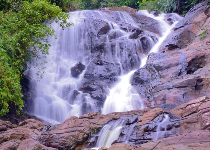 Sinharaja Forest Gate