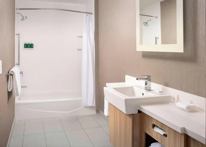 Springhill Suites By Marriott Punta Gorda Harborside