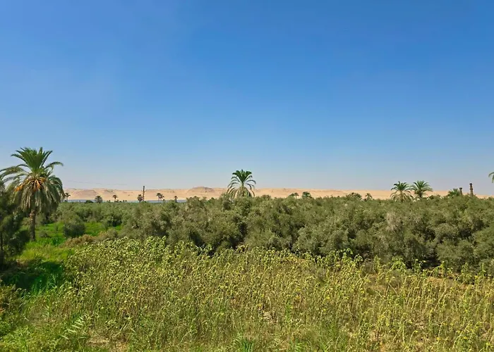 Tache Boutique Hotel Fayoum
