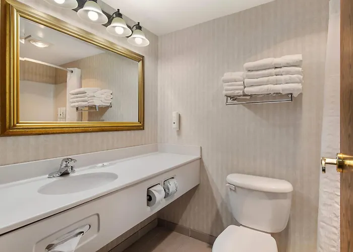 Quality Inn & Suites Manistique