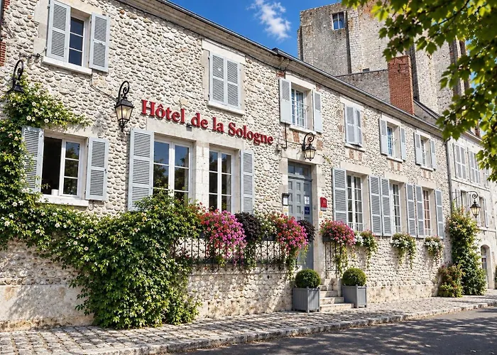 Hotel De La Sologne