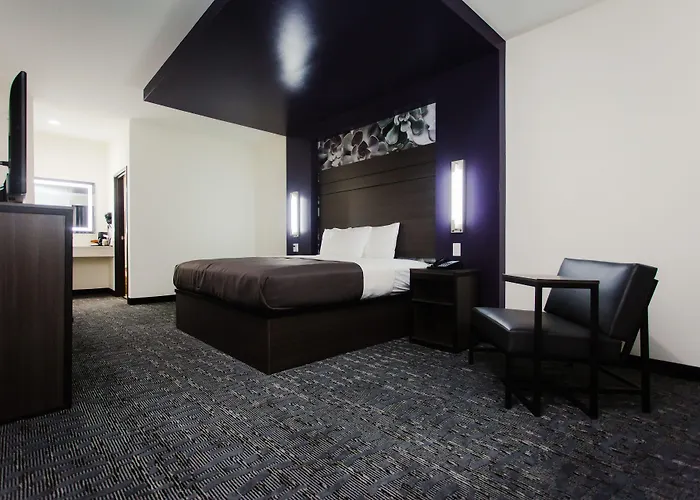 Palacio Royale Inn Boutique Katy