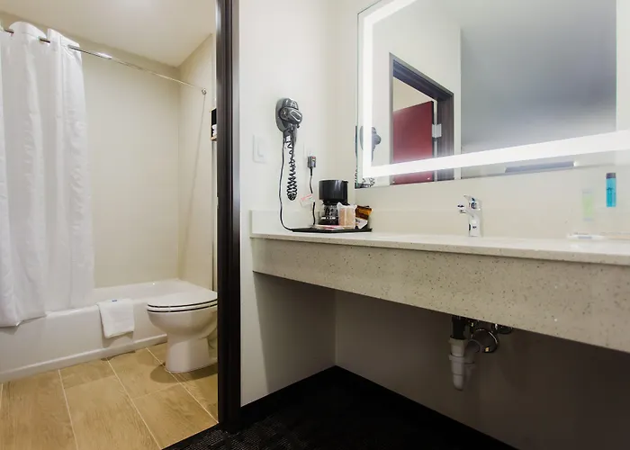 Palacio Royale Inn Boutique Katy