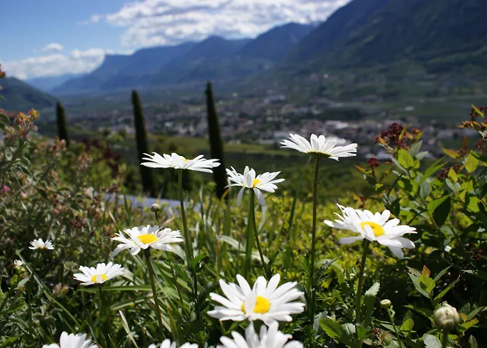 Marini'S Giardino Hotel
