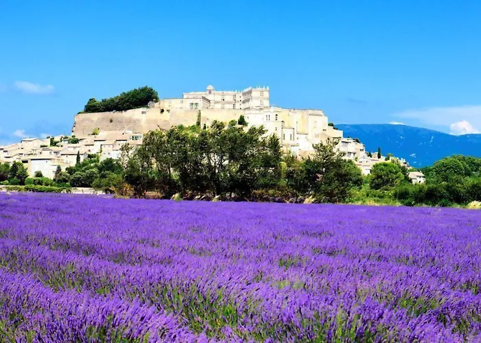 Hotel Le Saint Remy & Spa