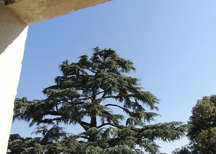 Le Domaine de Mestré, The Originals Relais (Relais du Silence)
