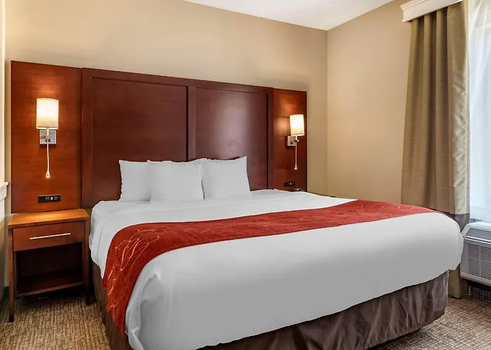 Comfort Suites Kyle