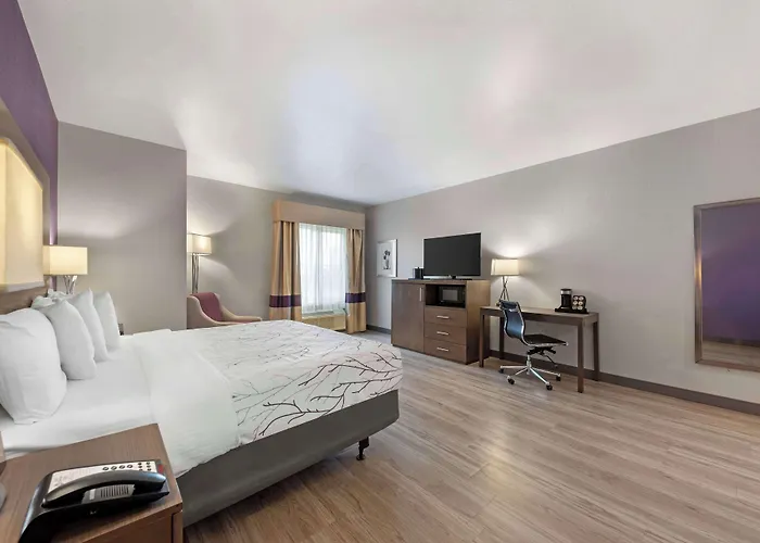 Best Western Plus Buda Austin Inn & Suites
