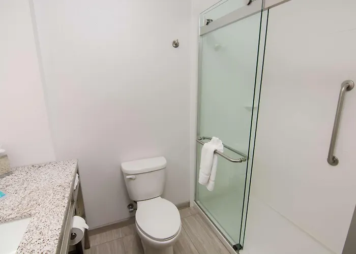Hilton Garden Inn Tampa Suncoast Parkway