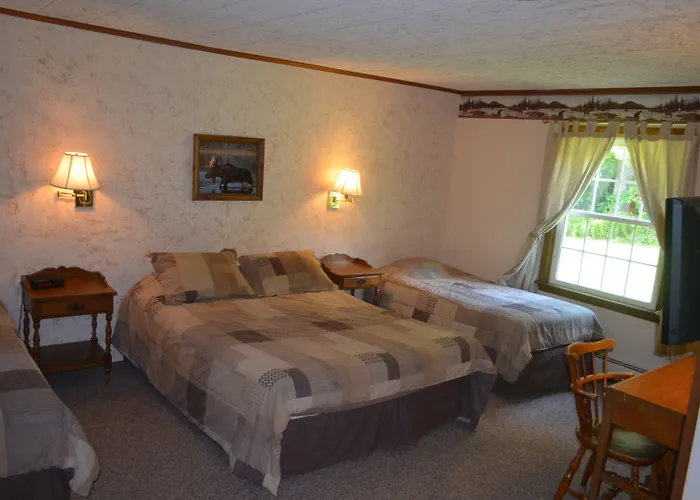 Big Bears Lodge