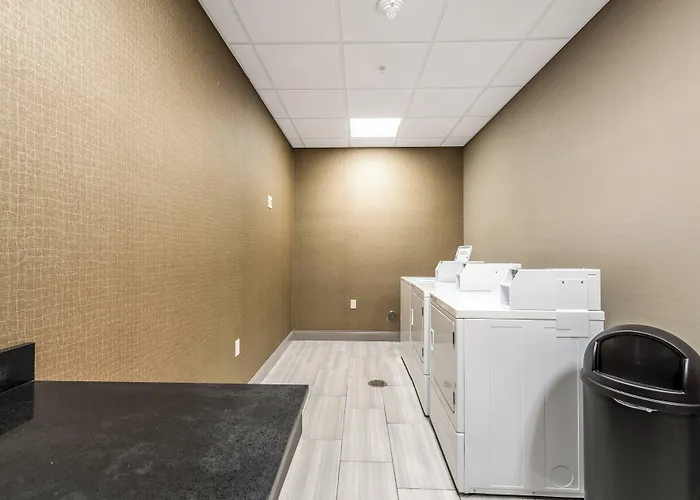 Fairfield Inn & Suites By Marriott St. Joseph Stevensville