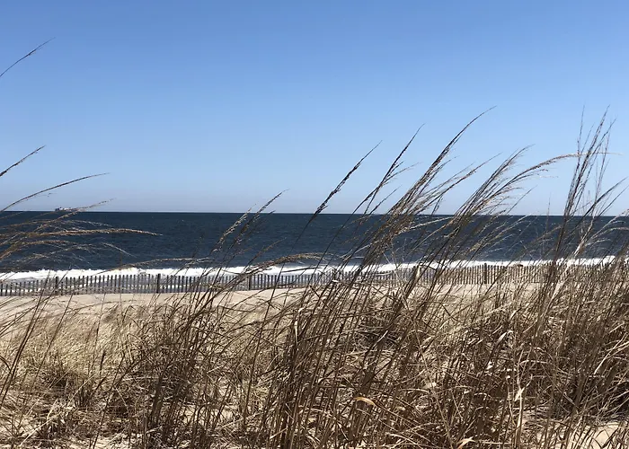 Beach View Hotel