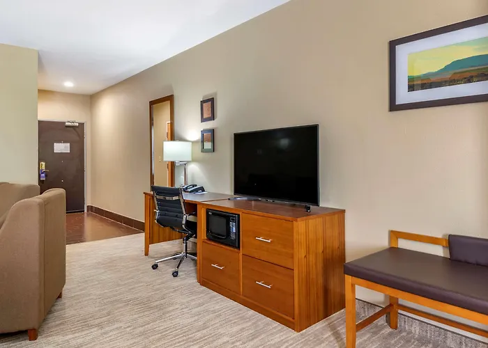 Comfort Suites - University