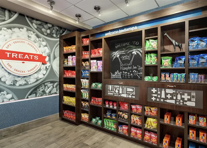 Hampton Inn&Suites by Hilton Tampa Busch Gardens Area