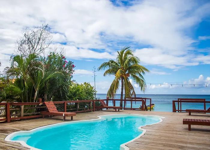 Coconut Tree West Bay