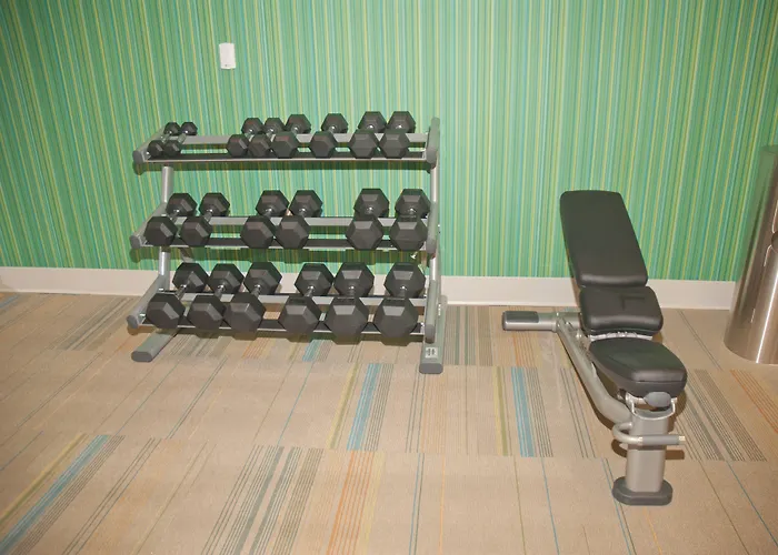 Holiday Inn Express Hotel & Suites Decatur