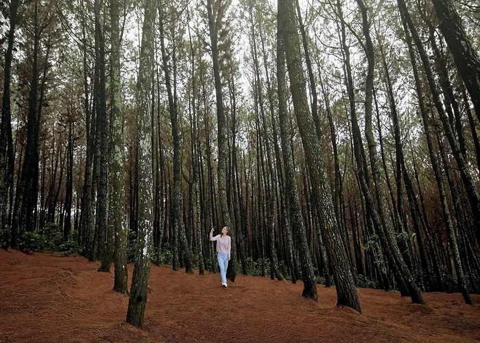 Four Points By Sheraton Bandung