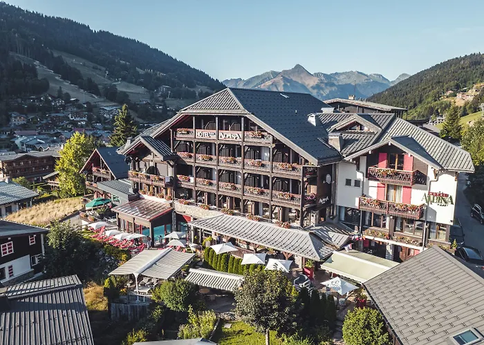 Hôtel Alpina