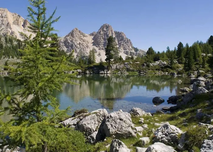 Bio Alpine Hotel Gran Foda