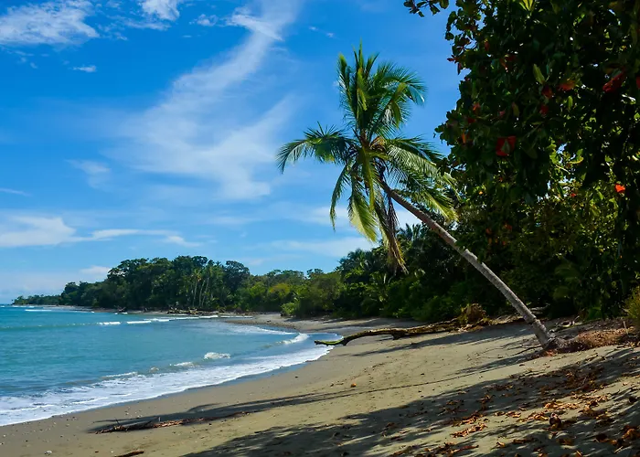 Blue Osa Beach Resort&Spa