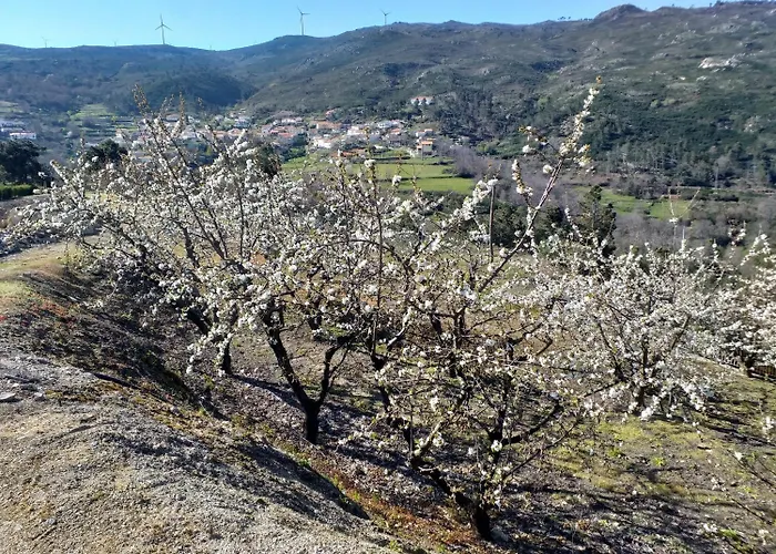 Quinta Da Timpeira