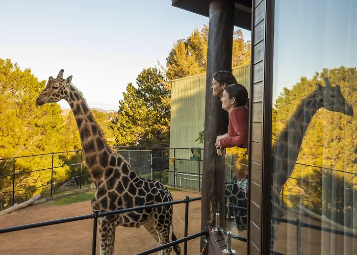 Jamala Wildlife Lodge