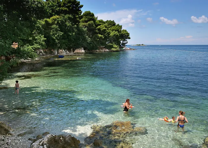 Villa Galijot Plava Laguna