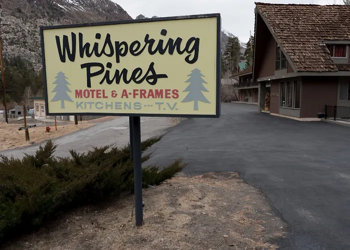 Whispering Pines